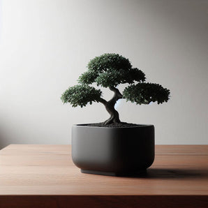 Moderne firkantet vase til bonsai og pynt