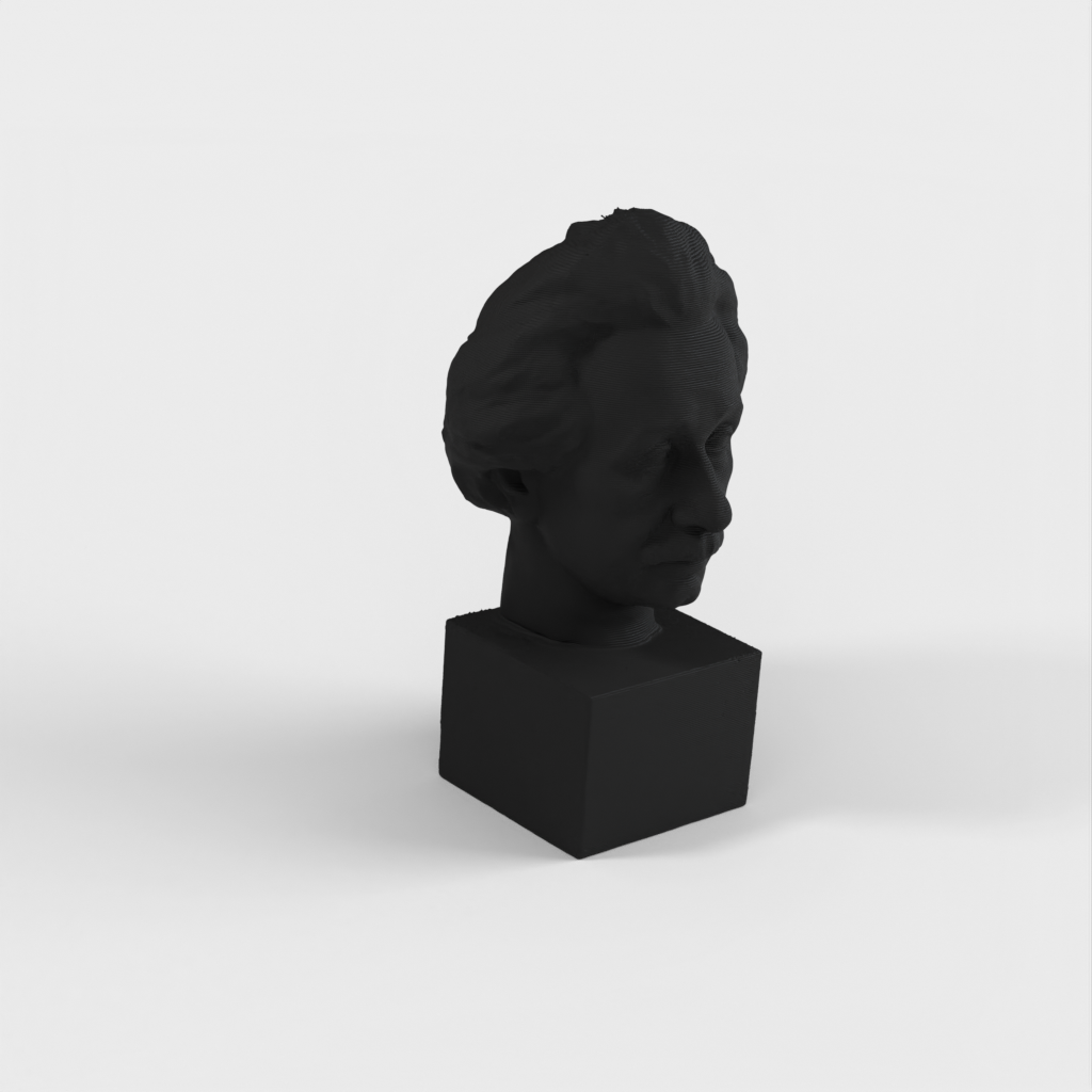 Προτομή Albert Einstein 3D Scan - Χάλκινο άγαλμα για εκτύπωση