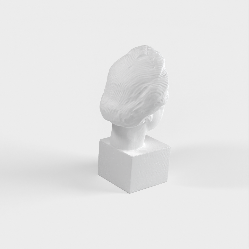 Προτομή Albert Einstein 3D Scan - Χάλκινο άγαλμα για εκτύπωση