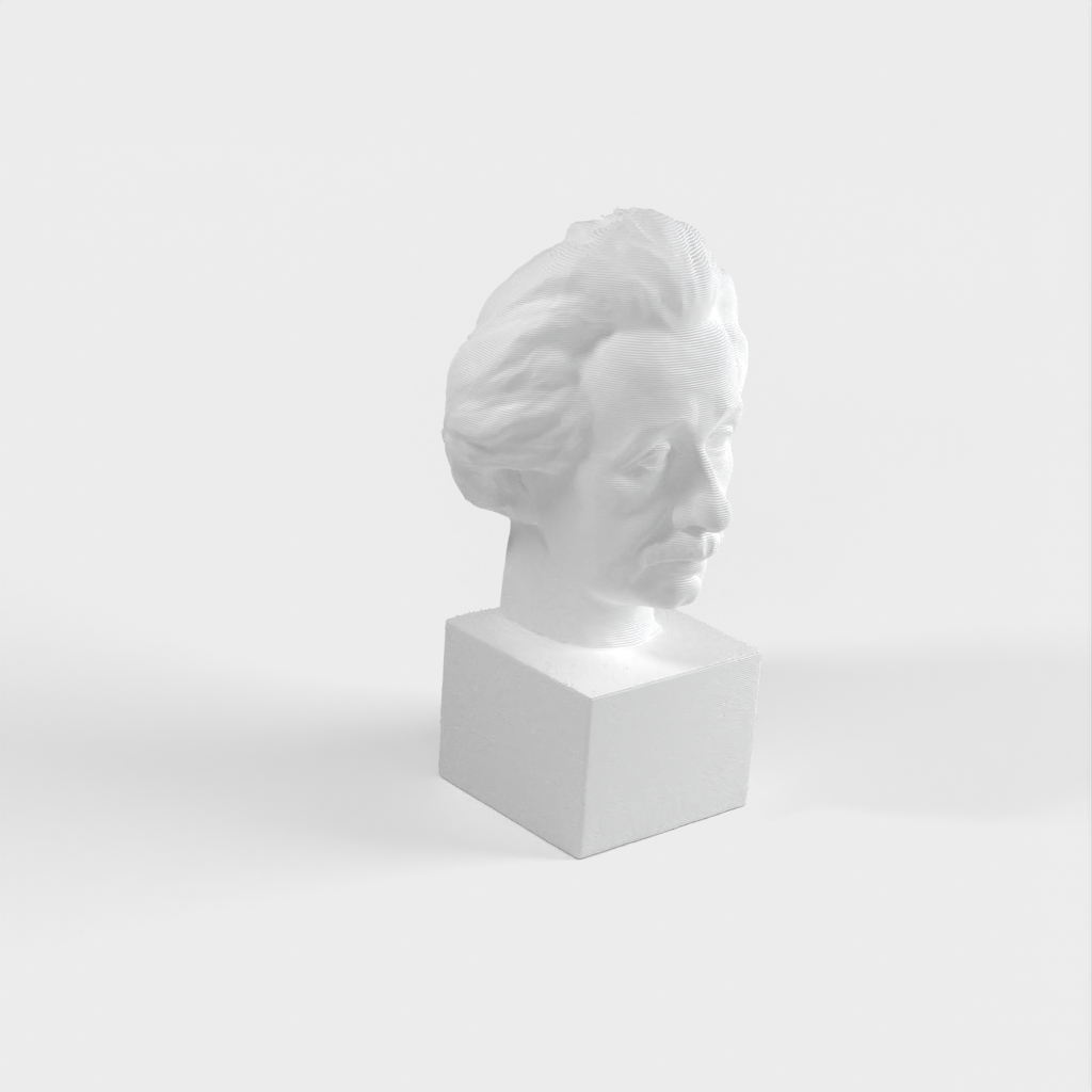 Προτομή Albert Einstein 3D Scan - Χάλκινο άγαλμα για εκτύπωση