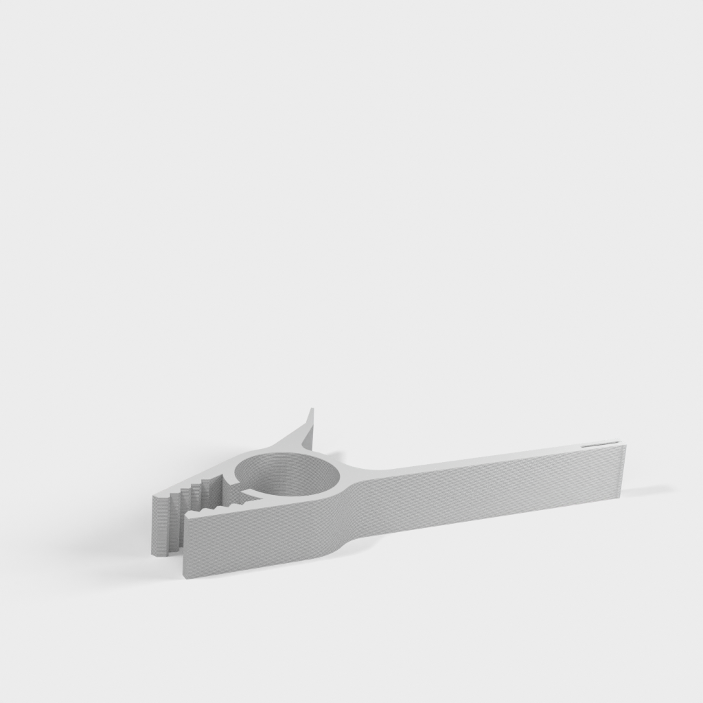 My 3D Model