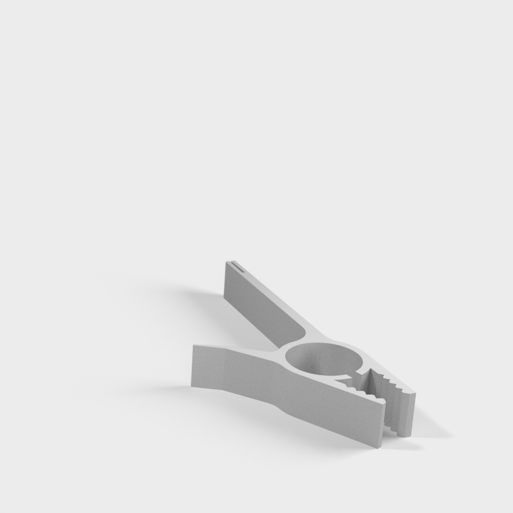 My 3D Model