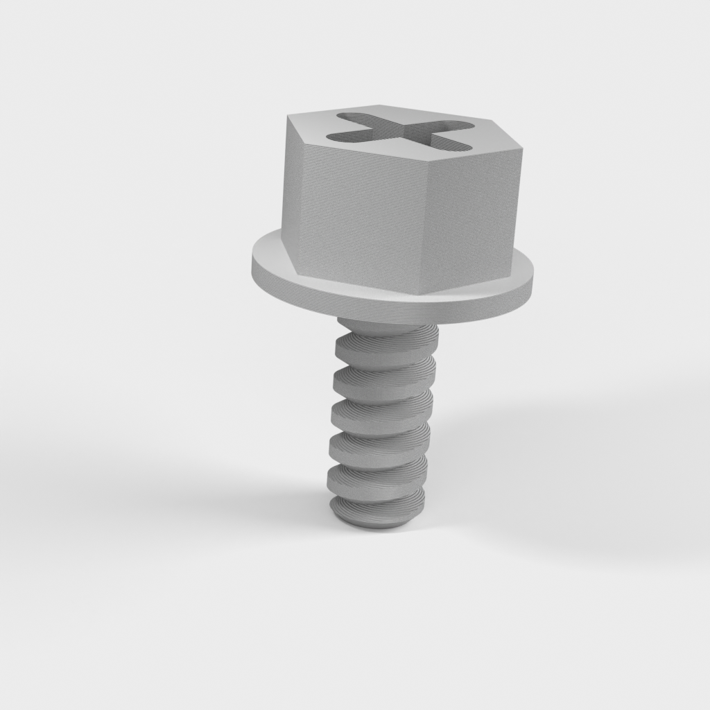 My 3D Model
