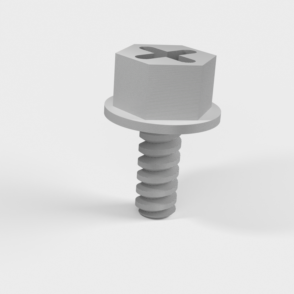 My 3D Model