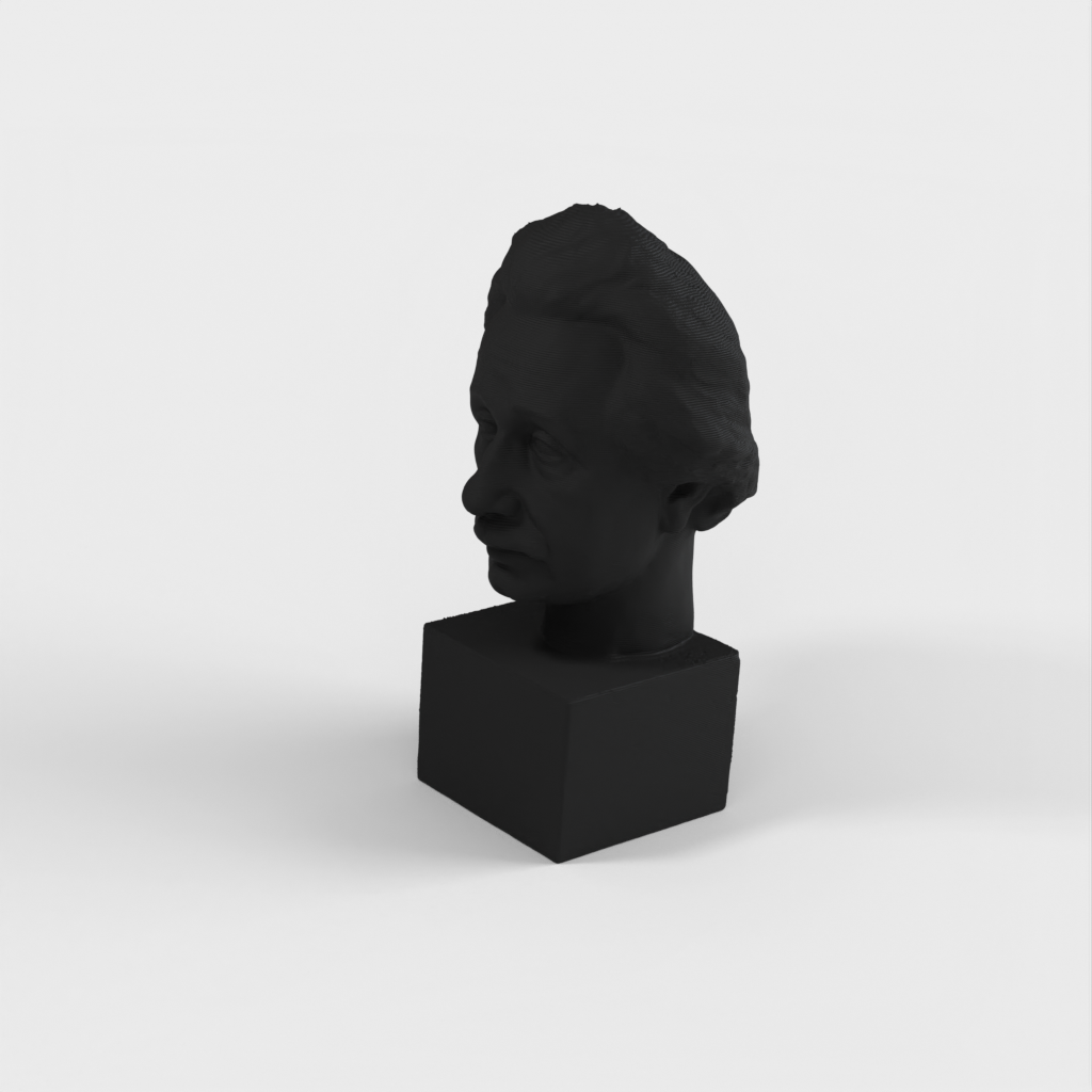 Προτομή Albert Einstein 3D Scan - Χάλκινο άγαλμα για εκτύπωση