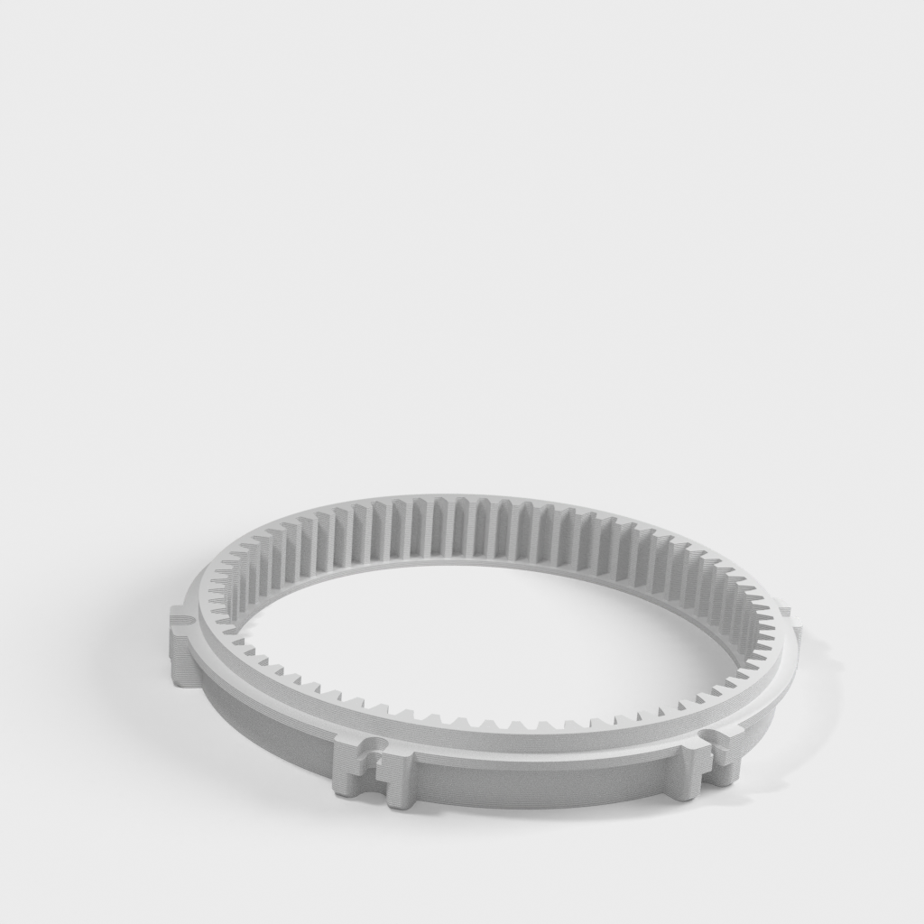 My 3D Model