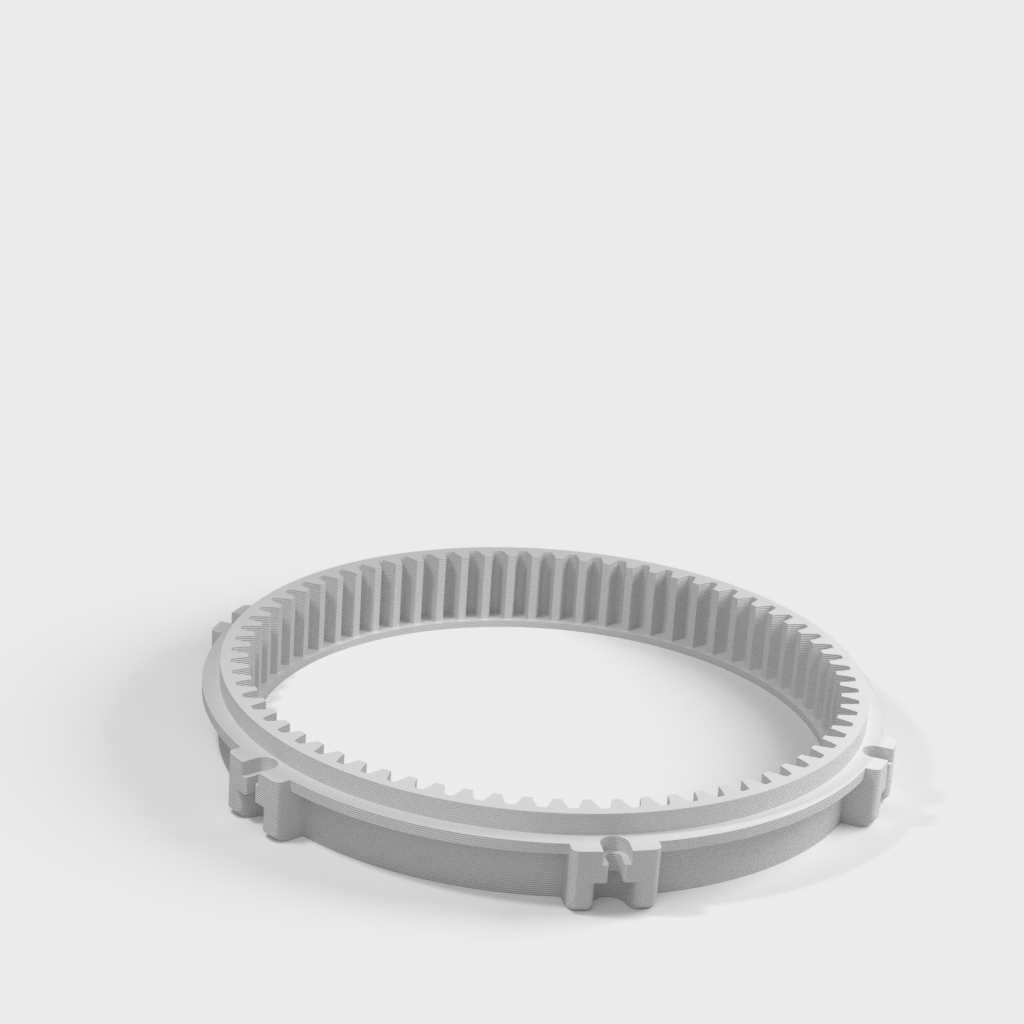 My 3D Model