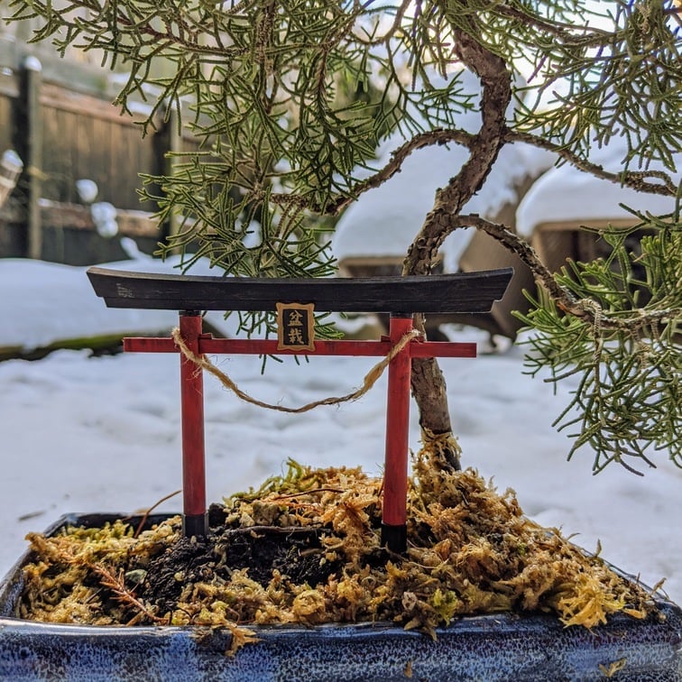 Inari Torii Port til Bonsai